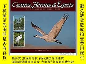 古文物Cranes,罕見Herons & Egrets: The Elegance of Our Tallest Bir 