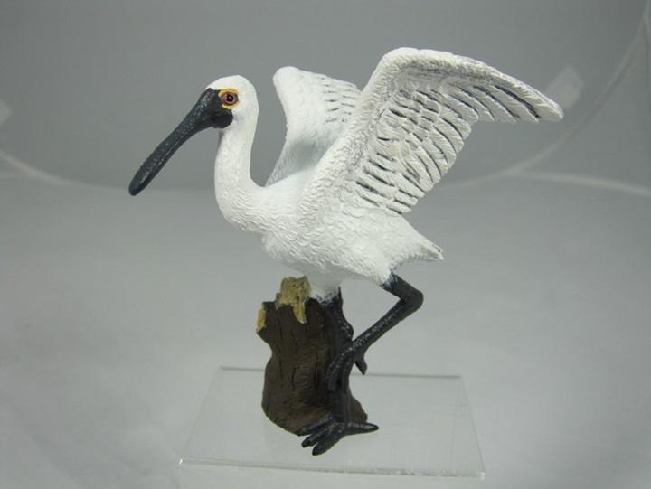 素食天堂~COLLECTA動物模型黑面琵鷺(站立),Procon-190