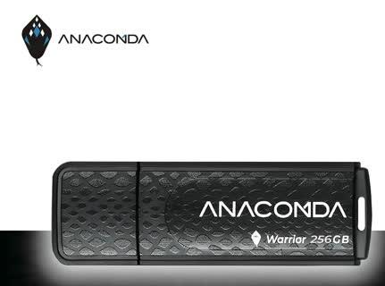 《Sunlink》ANACOMDA 巨蟒 Warrior 256G 256GB USB3.2 Gen1x1 隨身碟