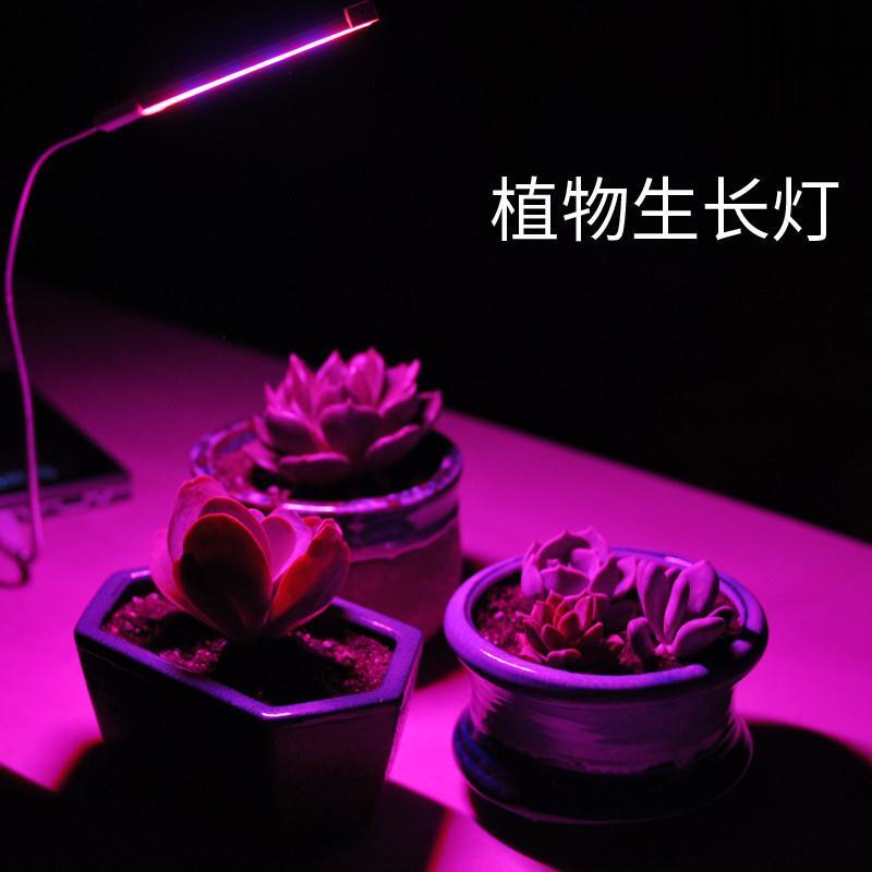 USB led植物生長燈 室內仿太陽光補光燈 全光譜 花卉 多肉紅藍燈