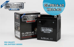 【普洛吉村】 PSB 134 GL-PB14-A2：Pro Select Battery 膠體機車電瓶