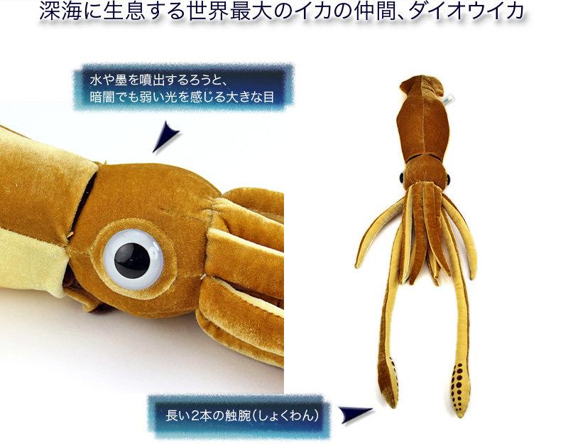 日本自然野生動物保育基金會 限量出品 超可愛深海生物系列-深海大王烏賊M號