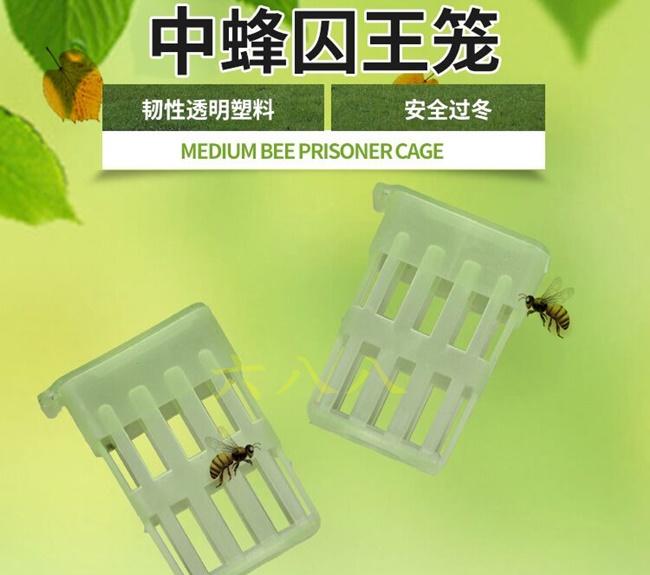 【688蜂具】中蜂塑膠薄型王籠 關王 禁王籠 囚王籠工具 控王籠 義蜂 意蜂 中蜂 洋蜂 土蜂 野蜂 養蜂工具 保護罩