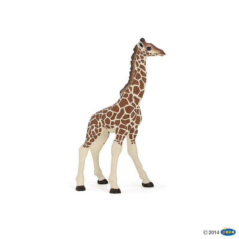 【Good Toy】法國 PAPO 50100 野生動物 幼長頸鹿 Giraffe  Calf 