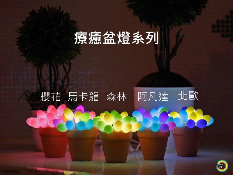 LED 療癒盆栽 Candy Light 夜燈 氣氛燈 床頭燈 辦公桌小物 USB 插頭