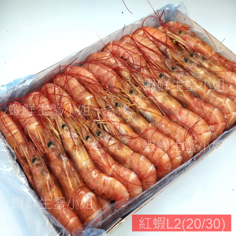 【海鮮7-11】紅蝦 L2   2K(20/30)  *肉質鮮甜、Q彈無腥味。**每盒800元**