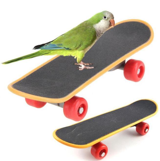 康遠🌟現貨🌟中小型鸚鵡 腳下益智玩具 磨爪迷你滑板 溜冰鞋 鸚鵡訓練 鳥寶玩具