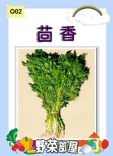 【野菜部屋~】O02茴香種子10公克 , 容易種植 , 適合用於多種料理,也可泡茶 , 每包15元~~
