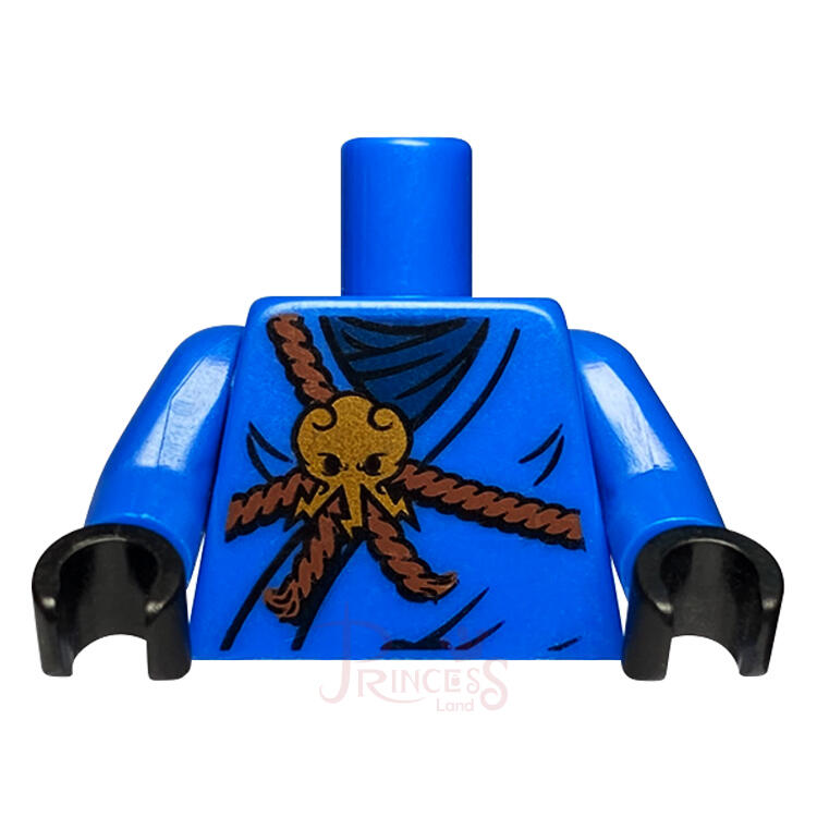 樂高王子 LEGO 2506 旋風忍者 二手 藍忍者 阿光 身體 藍色 973pb0830c01 A104