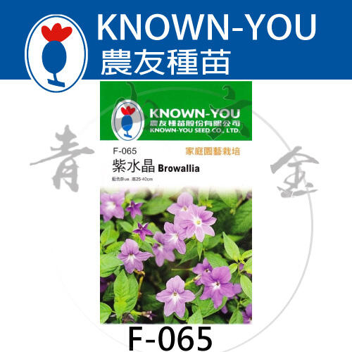 『青山六金 』附發票 農友 F-065 紫水晶 包裝 種子 混合色 花卉 家庭 園藝 栽培 種苗 植作 約30粒