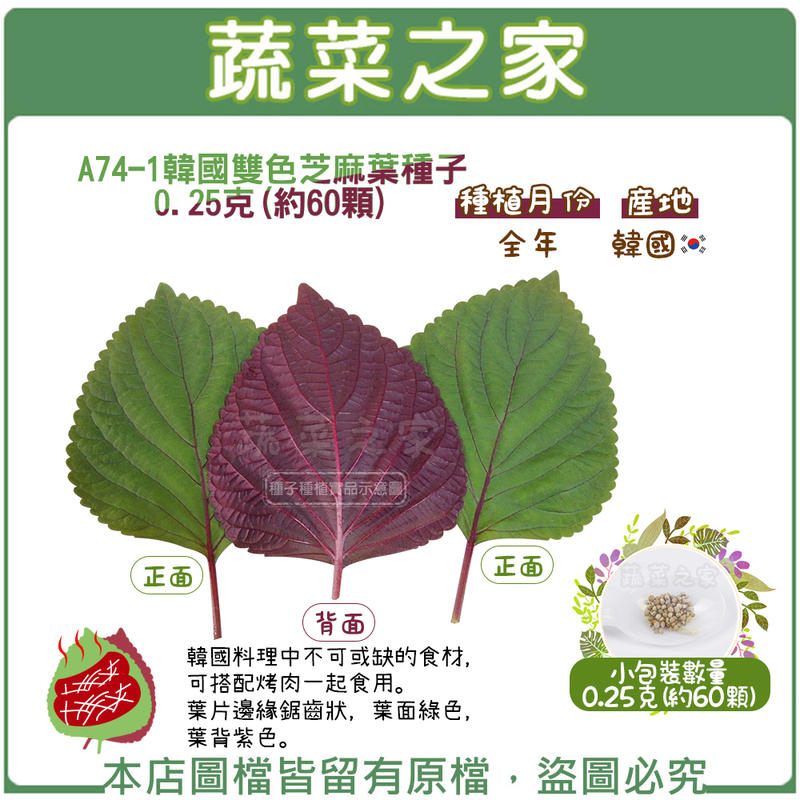 【蔬菜之家滿額免運】A74-1.韓國雙色芝麻葉種子0.25克(約60顆)/韓國料理中不可或缺的食材，可搭配烤肉一起食用。