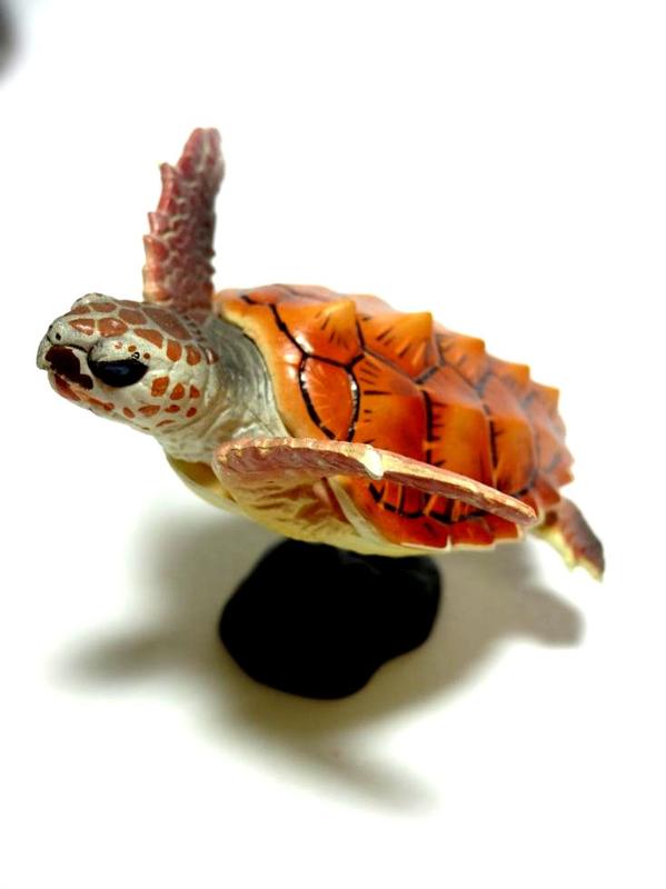 ❤里昂玩具部❤ 日版 全新 海洋堂 日本動物 四國 最後的清流之鄉 單售 赤蠵龜 海龜(水族館) 日本的烏龜