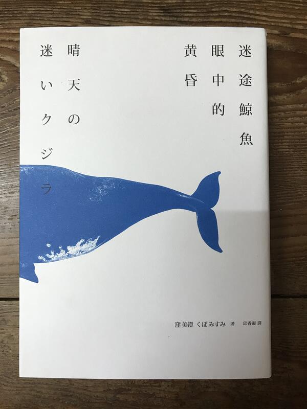 【靈素二手書】《 迷途鯨魚眼中的黃昏 》. 漥美澄 著. 新雨