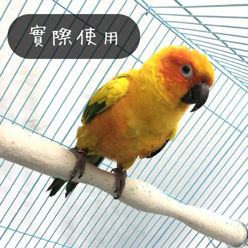 金瑞成鳥園->波浪型磨爪棲木/達到磨趾、腳爪運動效果/台灣製/適合各種鳥種