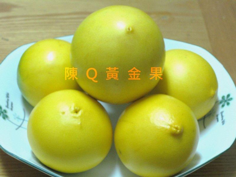 【杉林鄉】 黃金果 / 加蜜蛋黃果