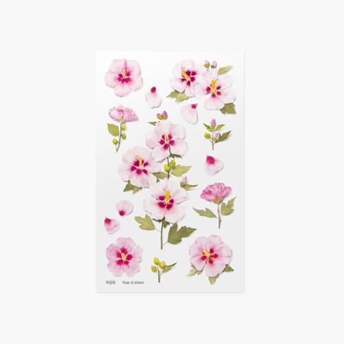 ◎。Bafa。◎ 韓國appree~ 押花貼紙 手帳素材 花草植物 DIY卡片照片裝飾~ 木槿花
