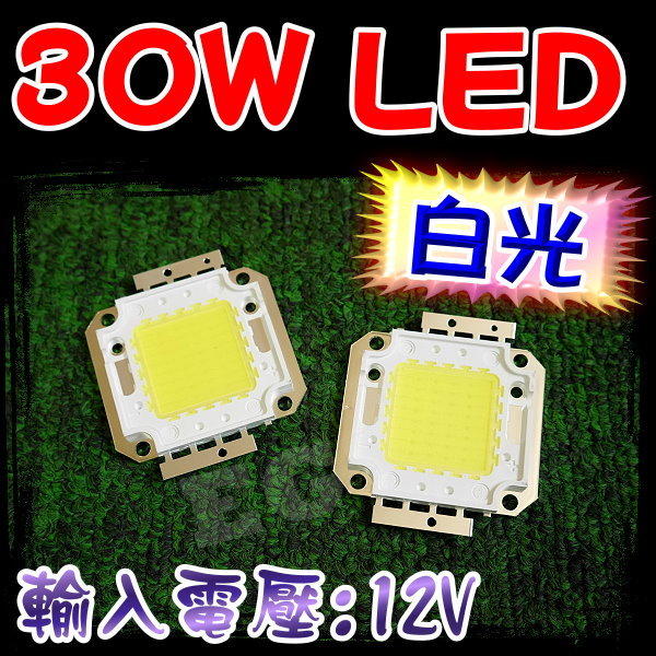 現貨 B9A54 足30W 高亮度 30W LED 白光 改裝 照明設備 投射燈 戶外照明 燈芯 晶元LED
