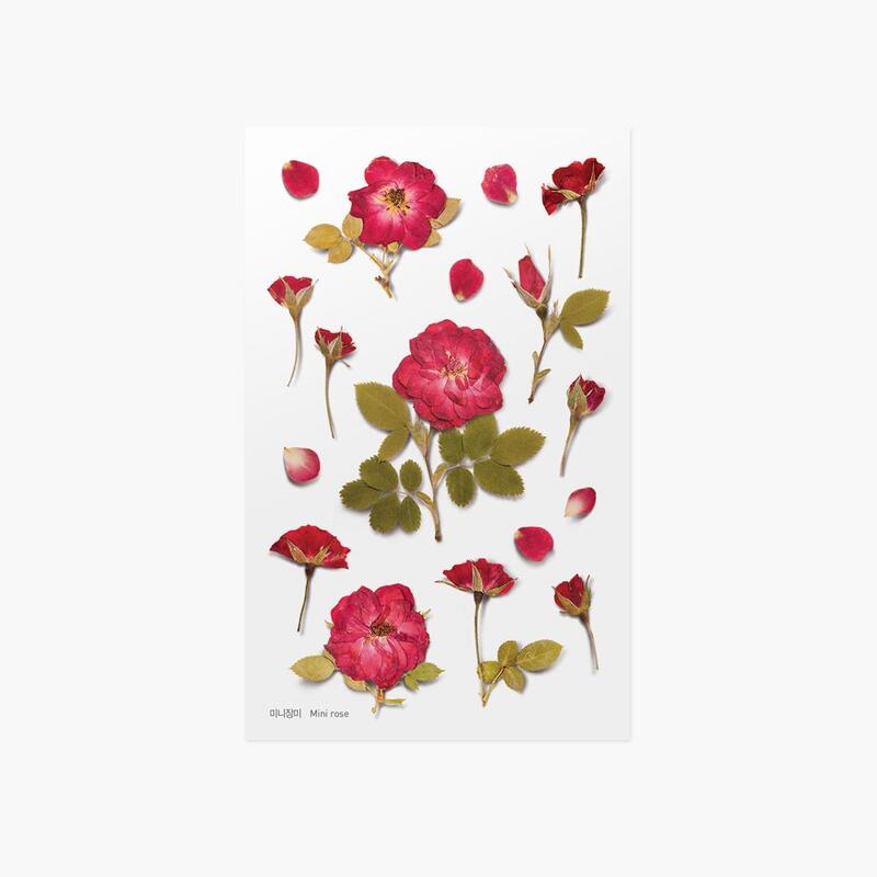 ◎。Bafa。◎ 韓國appree~ 押花貼紙 手帳素材 花草植物 DIY卡片照片裝飾~ 迷你玫瑰