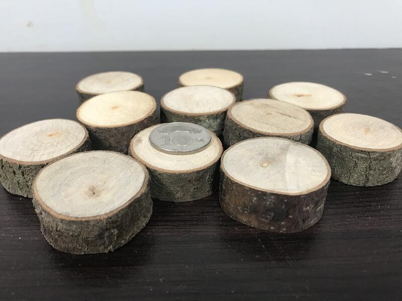 L-131 樟樹(樟木、香樟)切片,厚度約1.5公分 | 露天市集 | 全台最大的網路購物市集