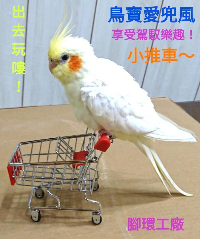 可愛鸚鵡玩具系列~鳥寶愛玩小推車