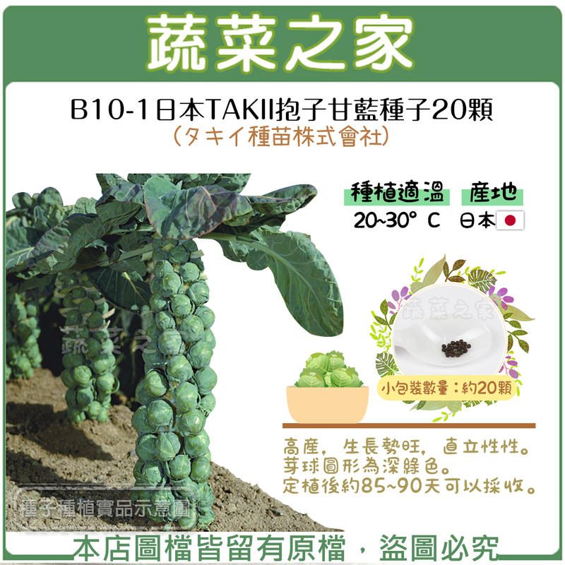 【蔬菜之家滿額免運】B10-1.日本TAKII抱子甘藍種子20顆(タキイ種苗株式會社)//高產，生長勢旺，直立性性。
