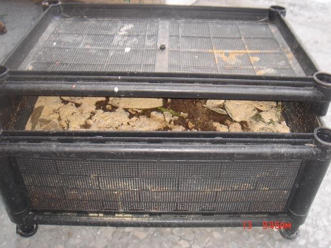 蚯蚓養殖箱(含1斤蚯蚓+飼養手冊+飼料+1kg蚓糞一包+運費)