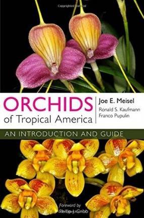 [進口蘭書]Orchids of Tropical America : An Introduction and Guid