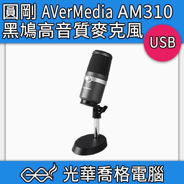 (現貨)圓剛 AVerMedia AM310 黑鳩 高音質 麥克風 | USB介面 專業麥克風
