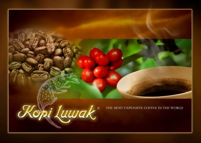 [Kopi Luwak] 印尼 白金級 麝香貓咖啡 木質禮盒 空運帶回 150g包裝