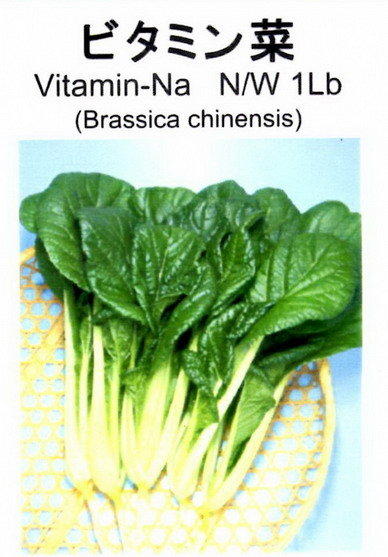 【野菜部屋~】A13 日本維他命菜種子1.6公克 , 富含維他命 , 每包15元~