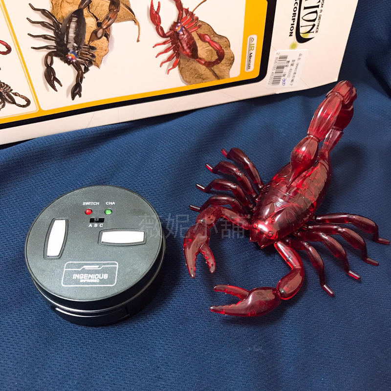 《薇妮玩具》遙控 蠍子 整人玩具 充電式 禮物 兒童玩具 遙控車 遙控昆蟲 48202 安全標章合格玩具