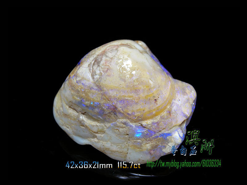 【阿誠#收藏】《澳洲 蛋白 (歐泊OPAL) 》 少見貝殼化石 玻璃種《紫藍色彩光》