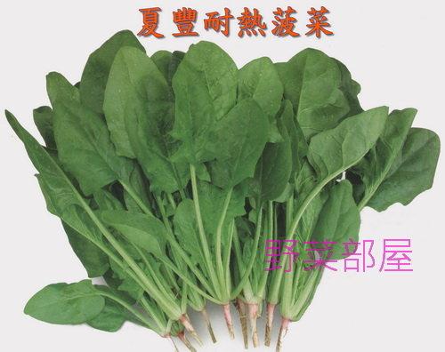 【野菜部屋~】A22 夏豐耐熱菠菜種子7.1公克 , 清甜爽脆 , 全年可種植 , 每包15元 ~