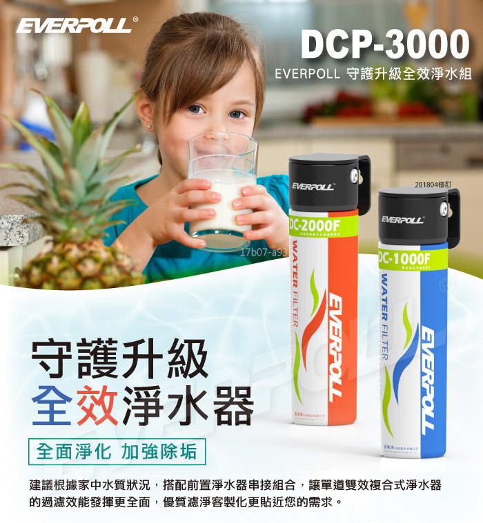 【年盈】EVERPOLL 公司貨 DCP-3000全面淨化加強除垢 守護升級全效淨水組(DC1000+DC2000)
