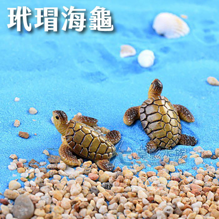【AC草影】玳瑁海龜（2入）【一個】