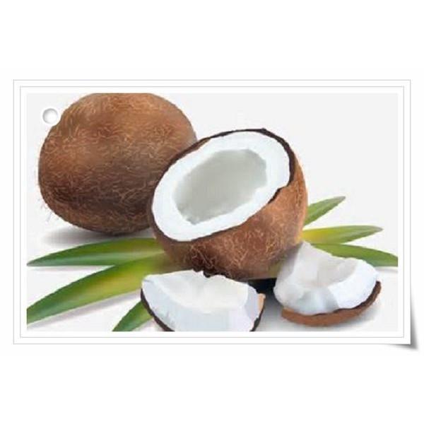 精緻椰子油  手工皂 材料 精油皂 皂基礎油 冷製皂 椰子油