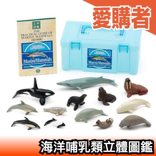 日本 Colorata 海洋哺乳類立體圖鑑 擬真模型 盒玩 玩具 考古生物科學 益智 生物模型【愛購者】