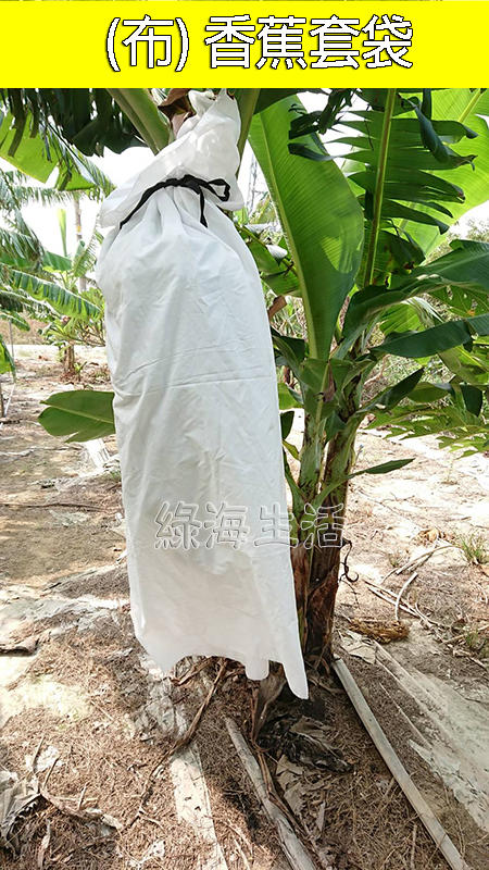 【綠海生活】布香蕉袋 布香蕉套袋 香蕉袋 香蕉套袋 布套袋 水果套袋 防蟲網袋 防猴 網罩