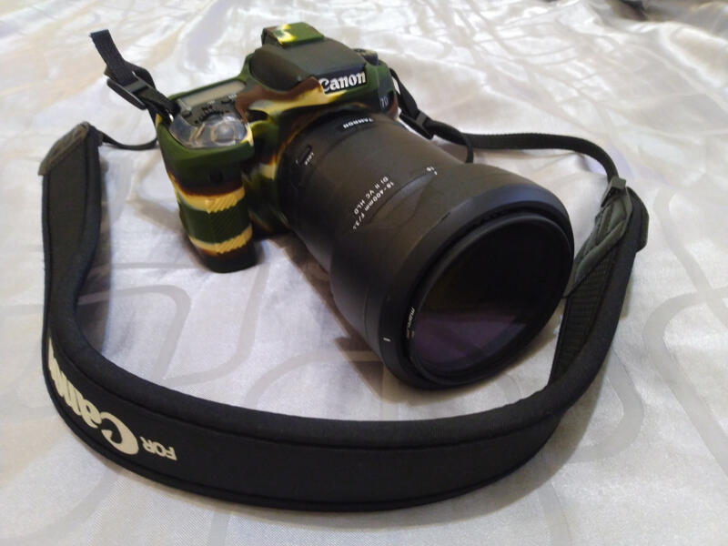 Canon EOS 77D +  Tamron EF-S 18-400mm F/3.5-6.30 [入門打鳥機]