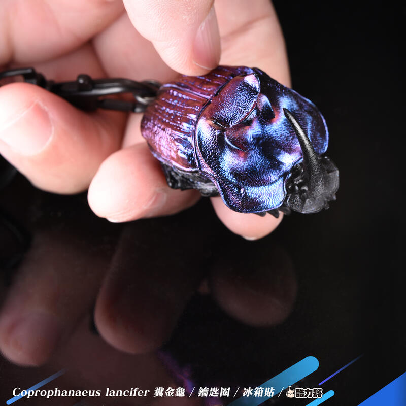 【酷力將】藍糞金龜  鑰匙圈冰箱貼_ 模型玩具 非標本  蘭斯佛糞金龜