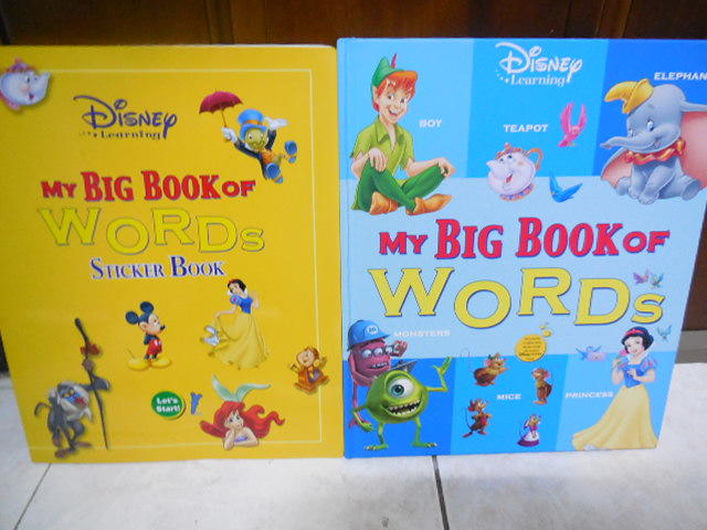 寰宇迪士尼美語My Big Book of Words +Sticker book 可點讀（貼紙書+