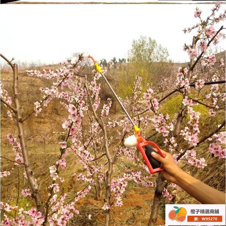 果樹花粉授粉器手動噴粉槍梨蘋果授粉機點花器奇異果授粉神器工具| 露天市集| 全台最大的網路購物市集