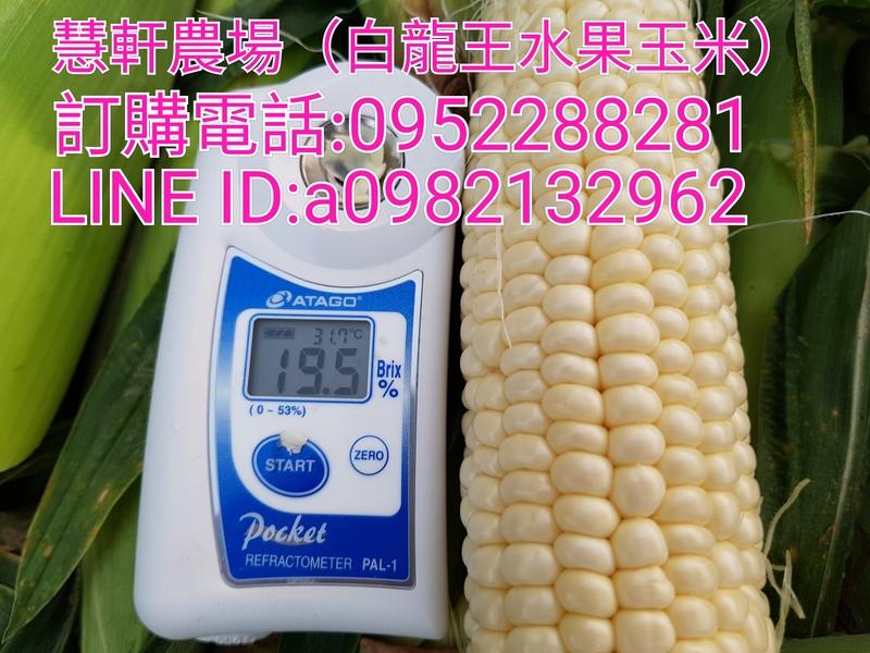 北海道牛奶水果玉米 最新鮮超平價上級品10斤500元免運費（全年種植）