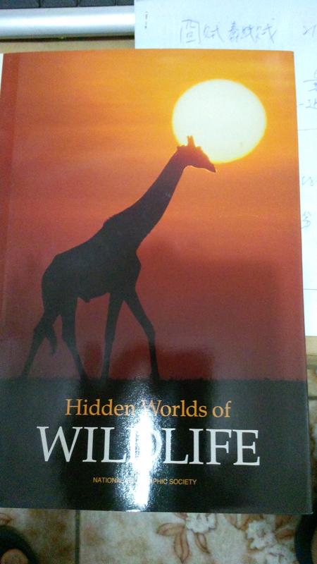 Hidden worlds of wildlife_1990