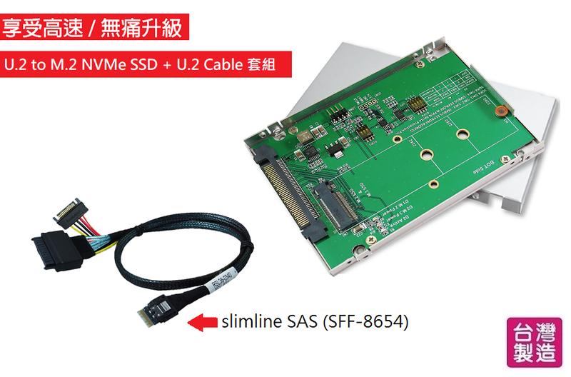 U.2 to M.2 NVMe SSD with 2.5"外殼 + U.2 to SlimSAS 傳輸線