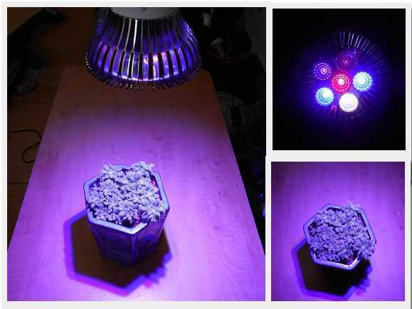 【光力能LED植物燈坊】新型二代鑽石款12w聚光型PAR燈1紅2藍全光譜 多肉植物LED生長補光燈