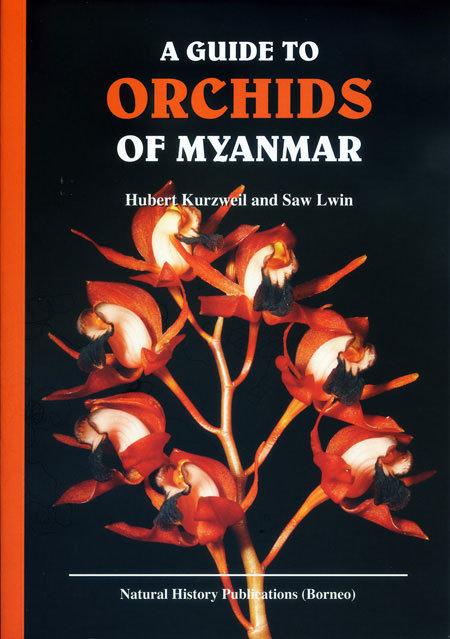 [進口蘭書]A guide to orchids of Myanmar