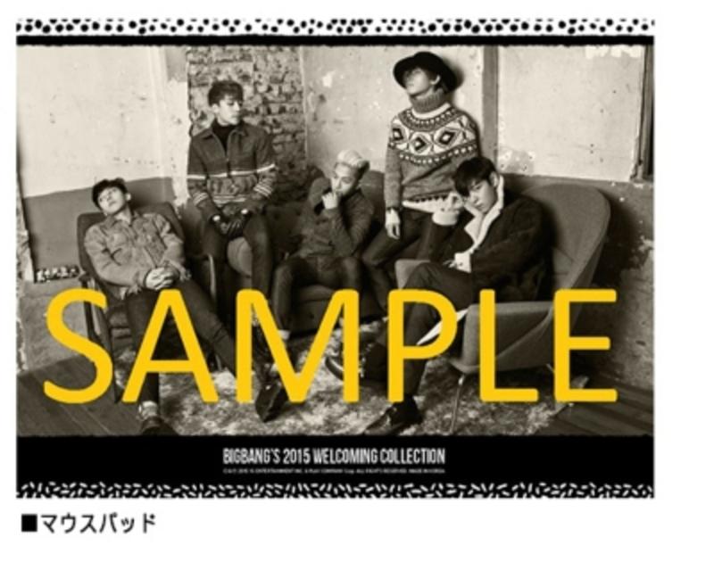BIGBANG BIGBANG'S 2015 WELCOMING COLLECTION DVD 初回生産日版