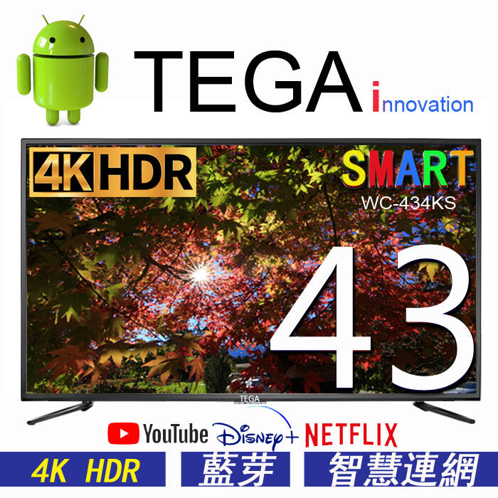 全新 TEGA 43吋 4K智慧聯網液晶電視 SMART/四核心/杜比/HDR/藍牙