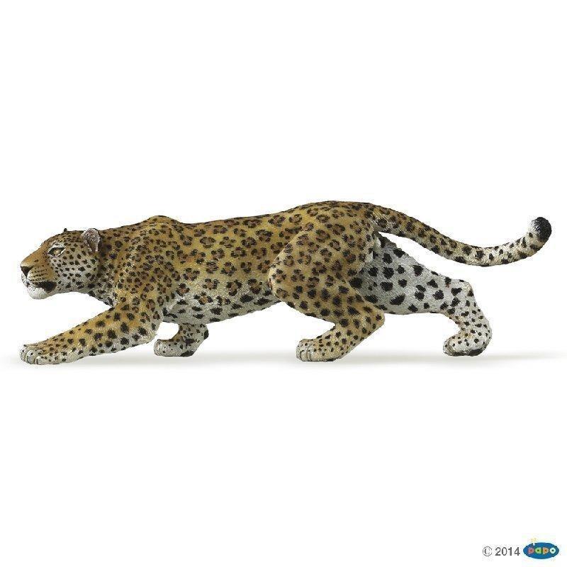 【Good Toy】法國 PAPO 50017 野生動物 豹 Leopard